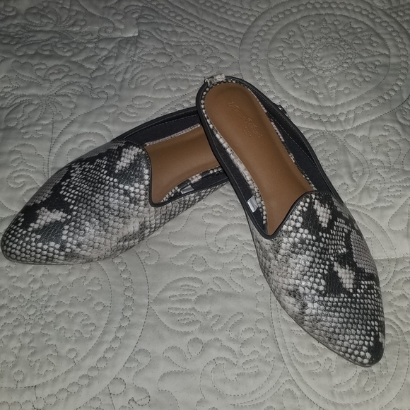 Mules - Picture 1 of 5